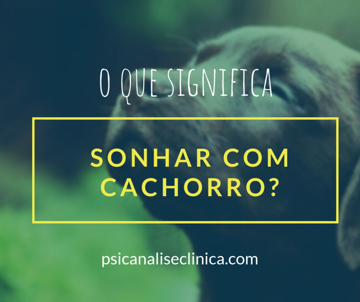 O que significa sonhar com cachorro mordendo