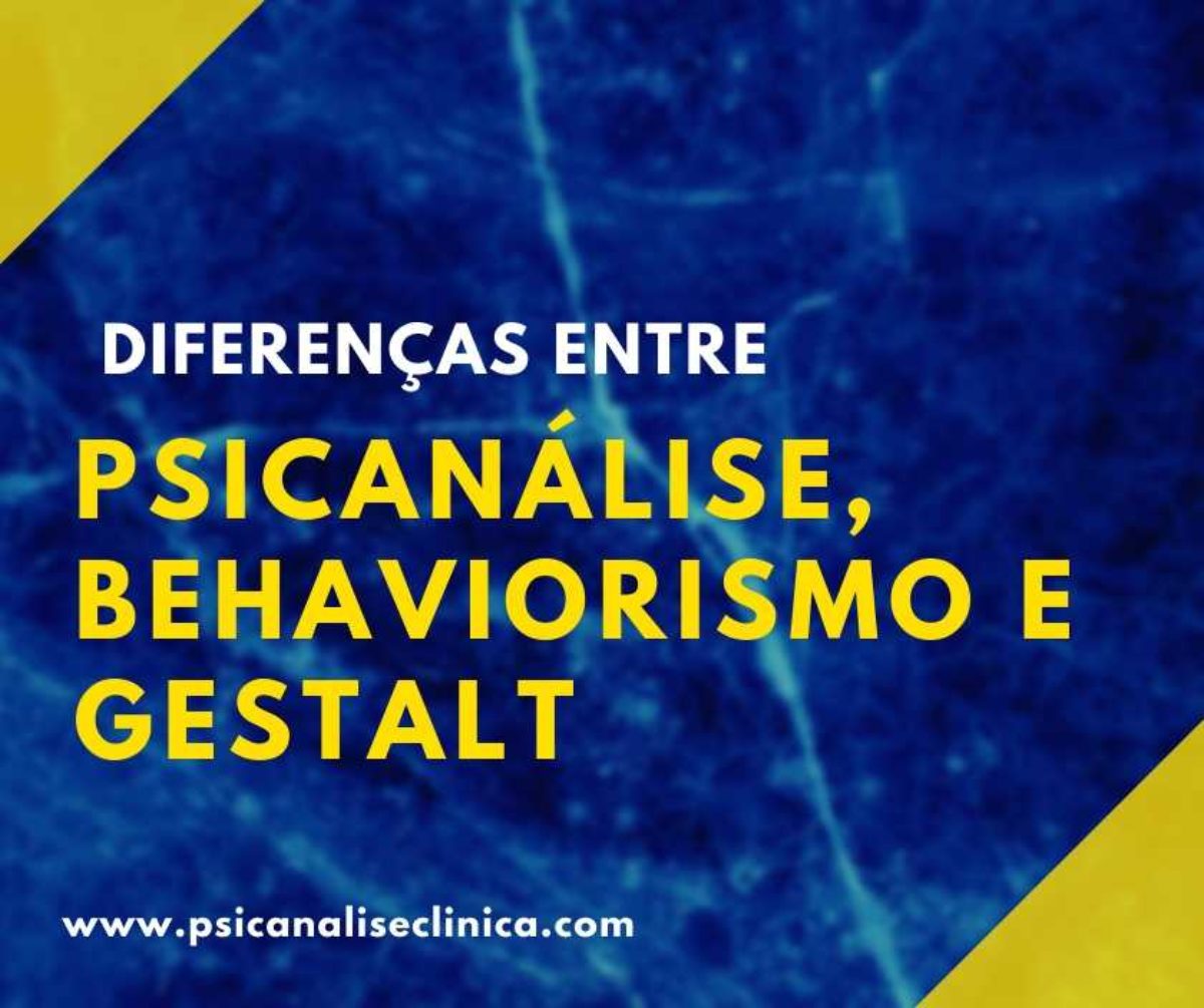 Psican lise Behavorismo e Gestalt 7 diferen as e semelhan as