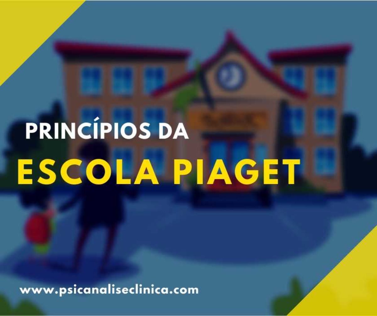 Escola Piaget de pensamento e educa o 20 princ pios