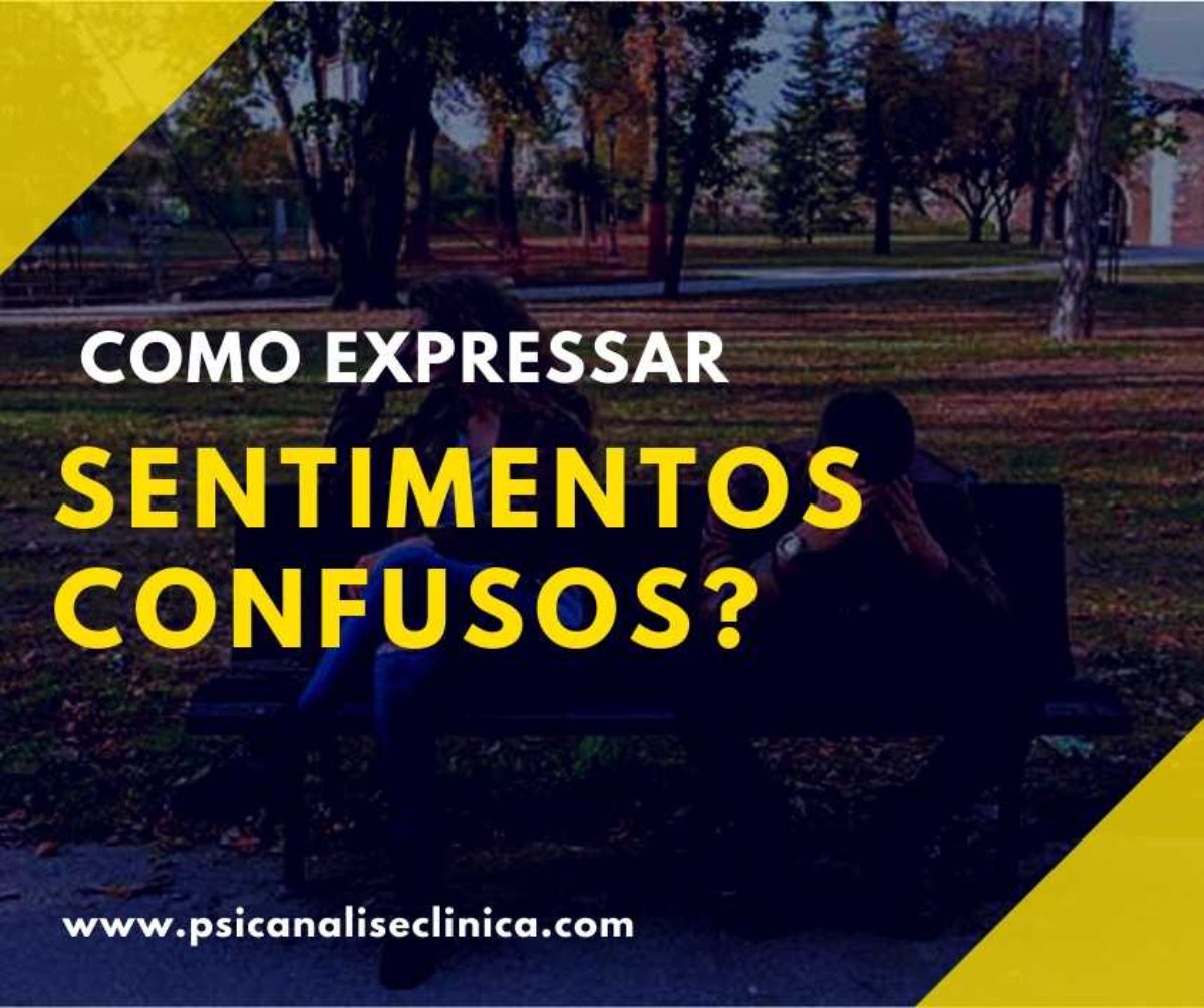 confusa ⦙1 - confusa, o boletim