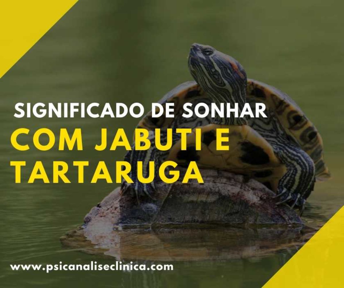 Sonhar com Tartaruga e Jabuti: 16 interpretações - Psicanálise Clínica