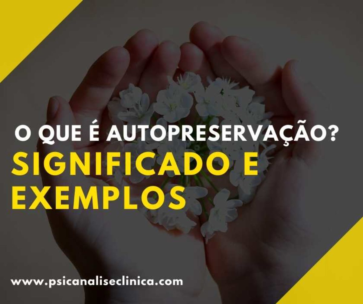 O Que E Autopreservacao Significado E Exemplos Psicanalise Clinica