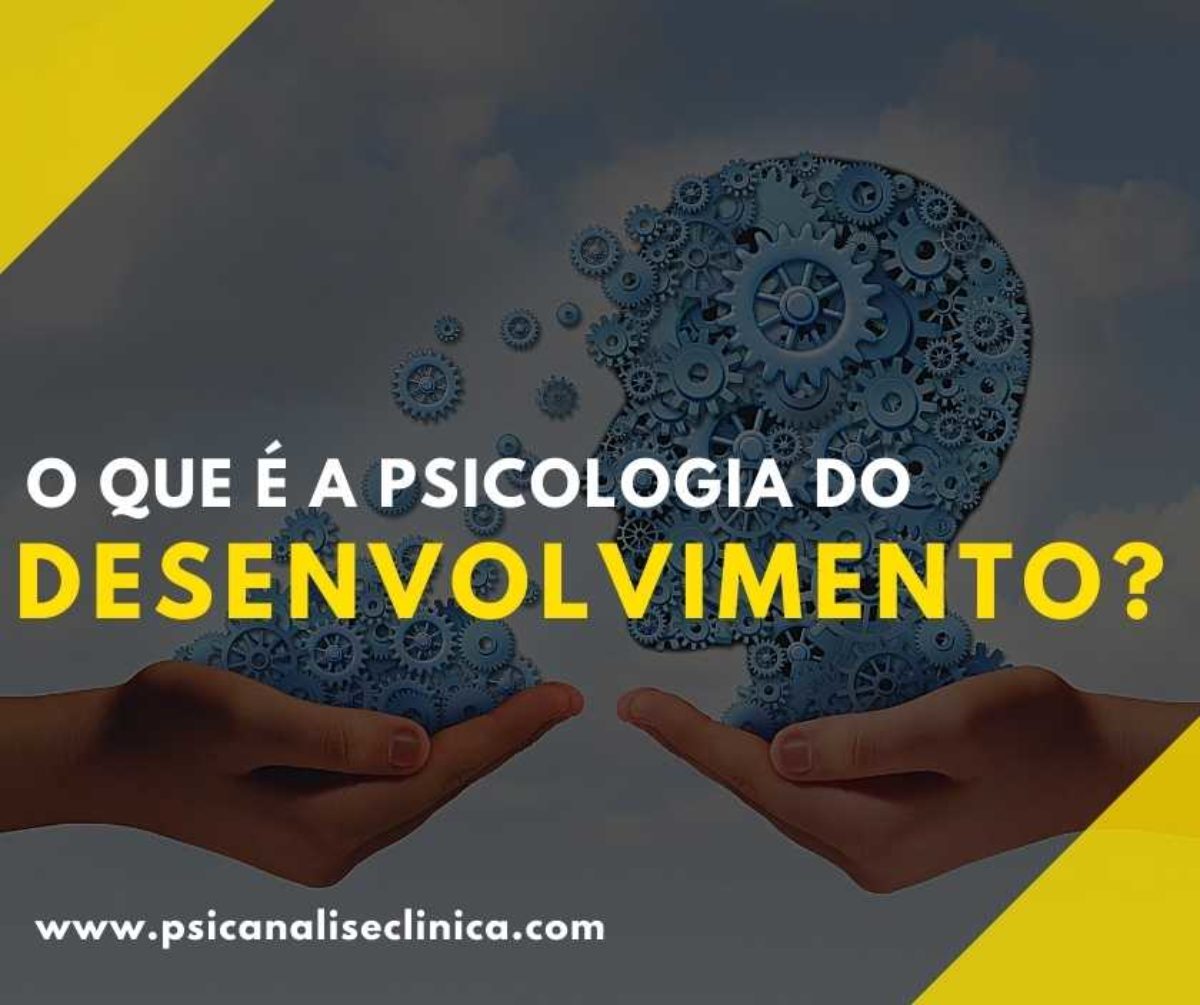 Psicologia do Desenvolvimento o que Psican lise Cl nica