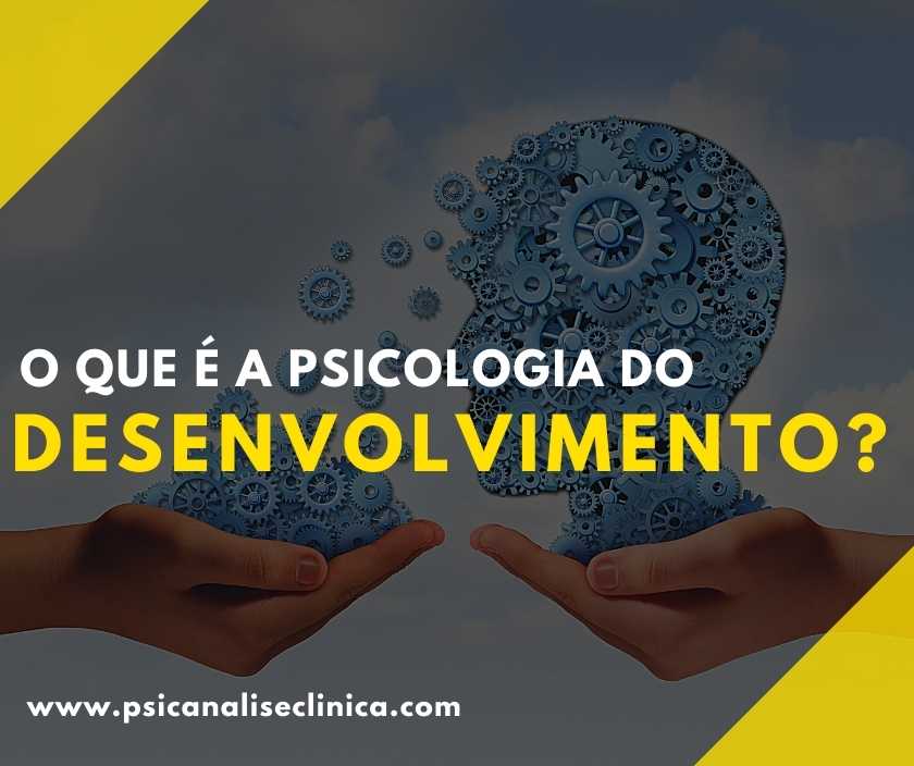 Psicologia do Desenvolvimento o que Psican lise Cl nica