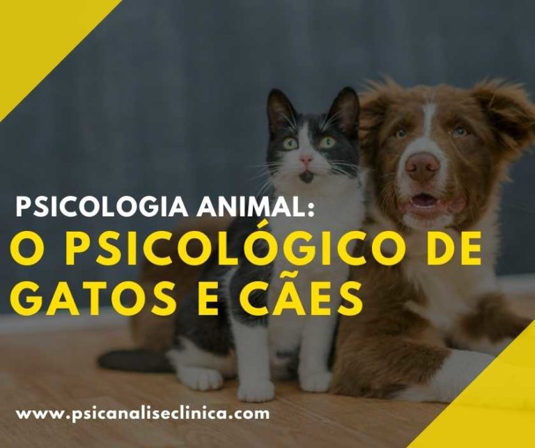 Psicologia Animal: O Psicológico De Gatos E Cães - Psicanálise Clínica