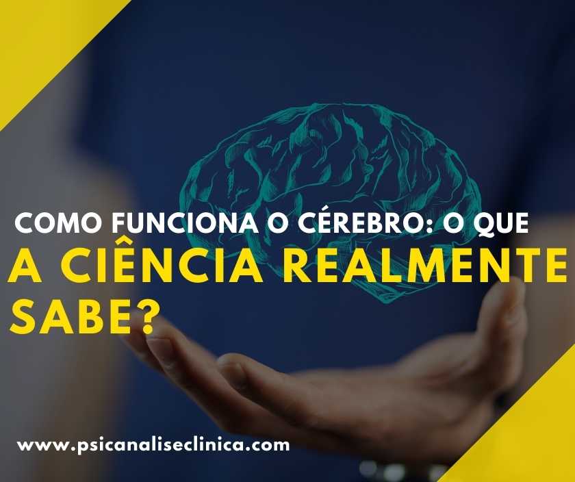 Como Funciona O Cérebro O Que A Ciência Realmente Sabe Psicanálise Clínica 2761