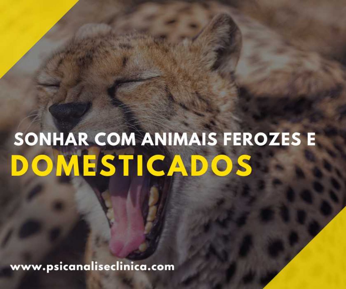 Sonhar com Animais ferozes e domesticados Psican lise Cl nica